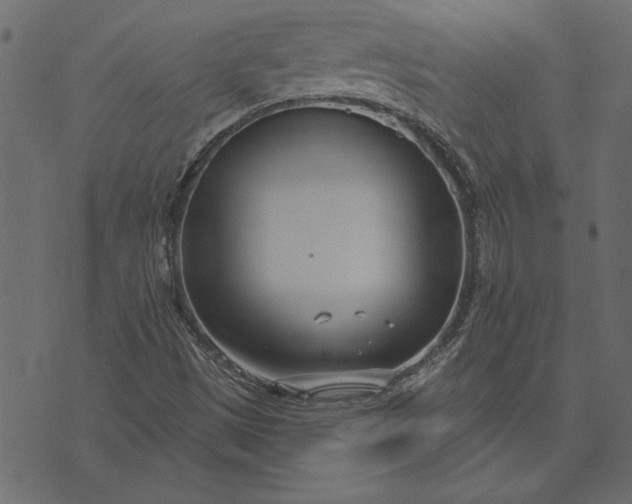 X0000073721497200608171150