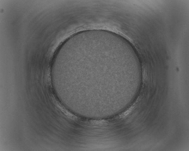 X0000073721498200608171150