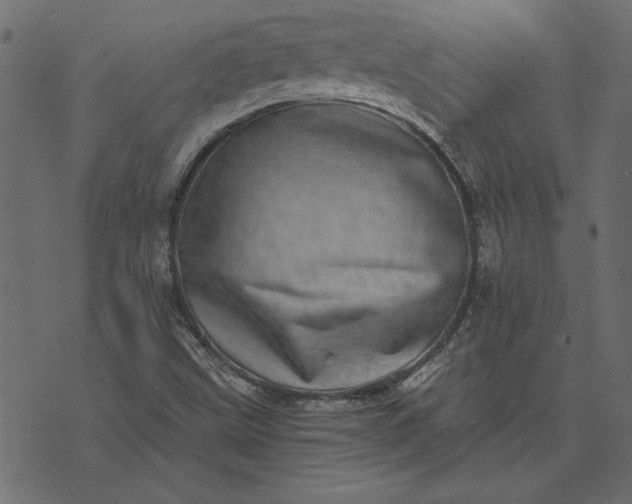 X0000073721499200608171150