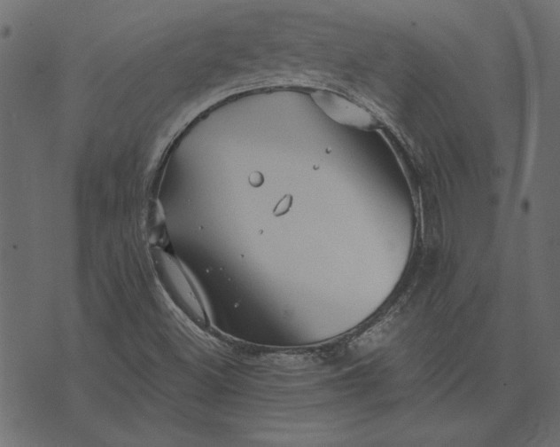 X0000073721500200608171150