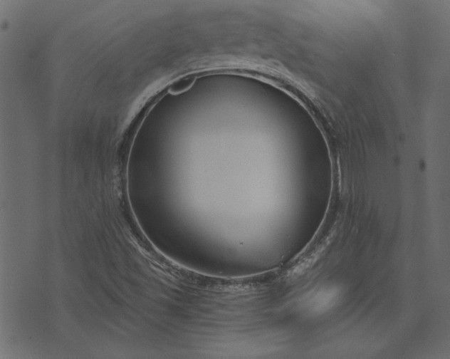 X0000073721501200608171150