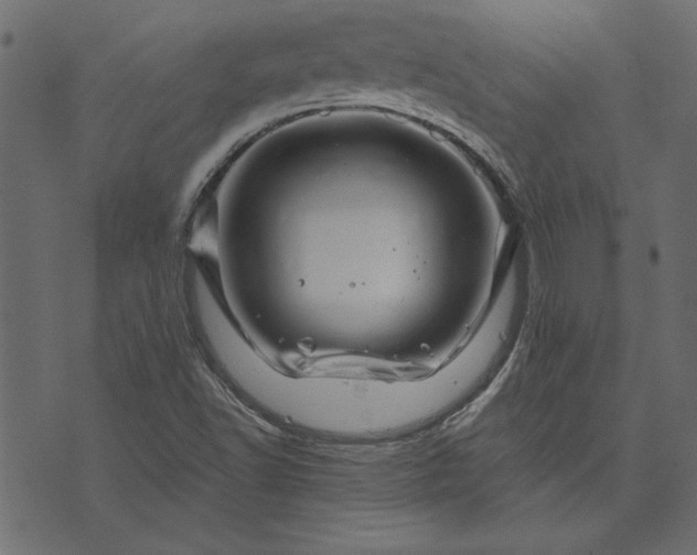 X0000073721502200608171150