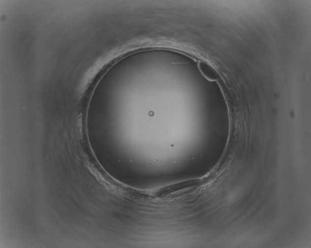 X0000073721503200608171150