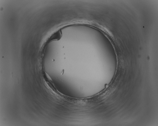 X0000073721504200608171150