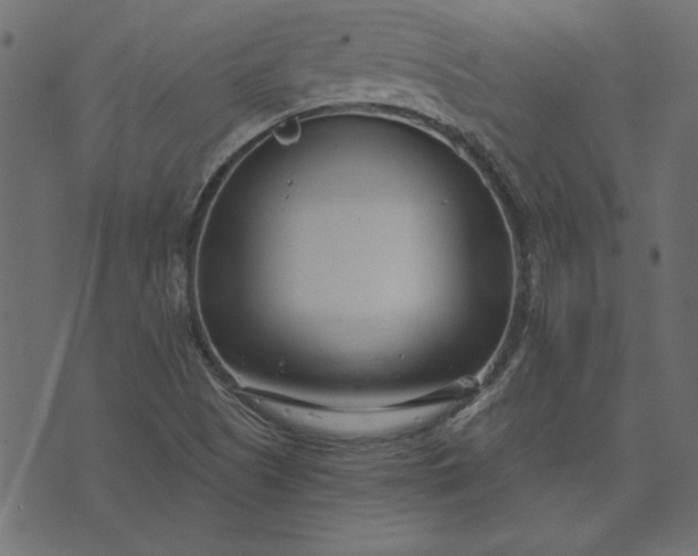 X0000073721505200608171150