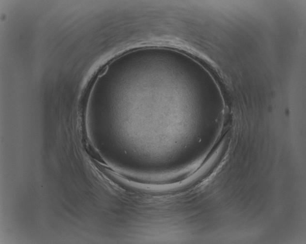 X0000073721506200608171150