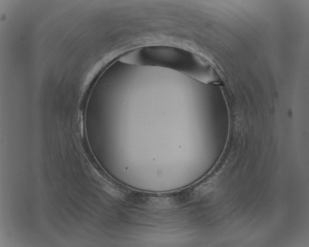 X0000073721509200608171150