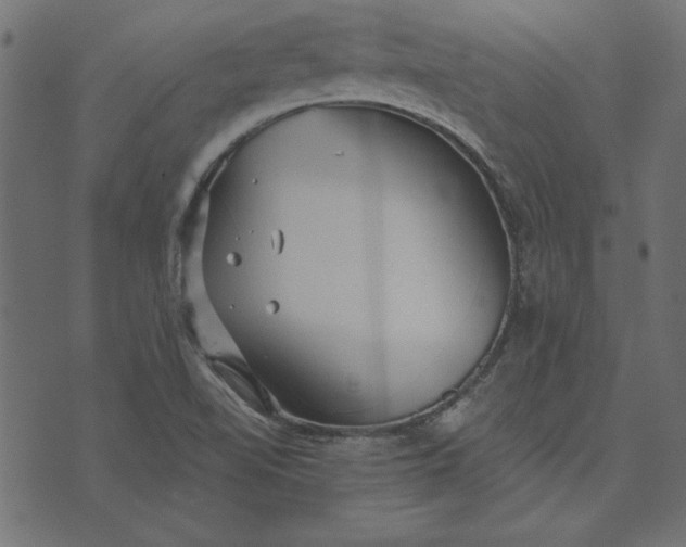 X0000073721510200608171150