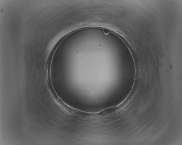 X0000073721511200608171150