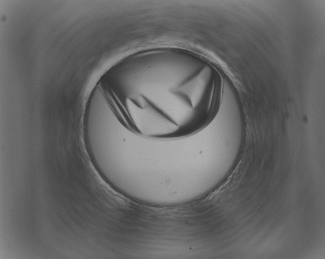 X0000073721512200608171150