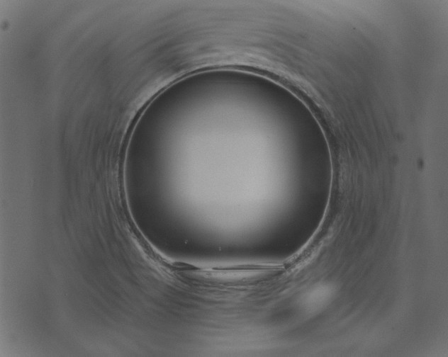 X0000073721513200608171150