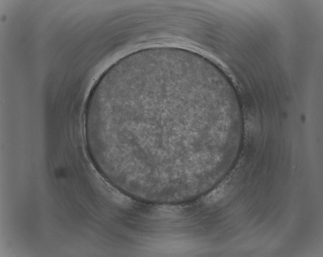 X0000073721514200608171150