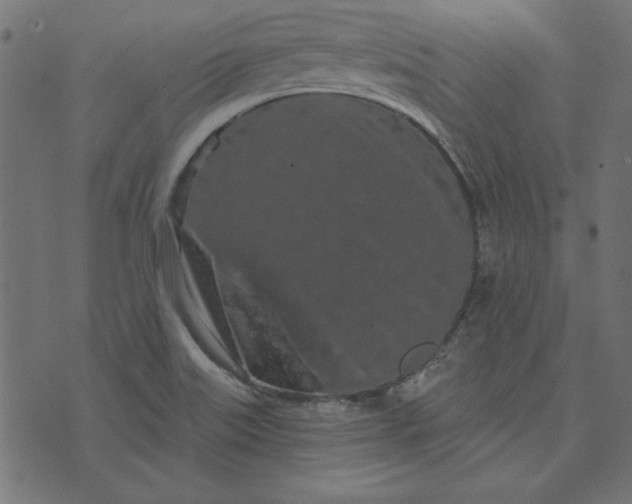 X0000073721515200608171150