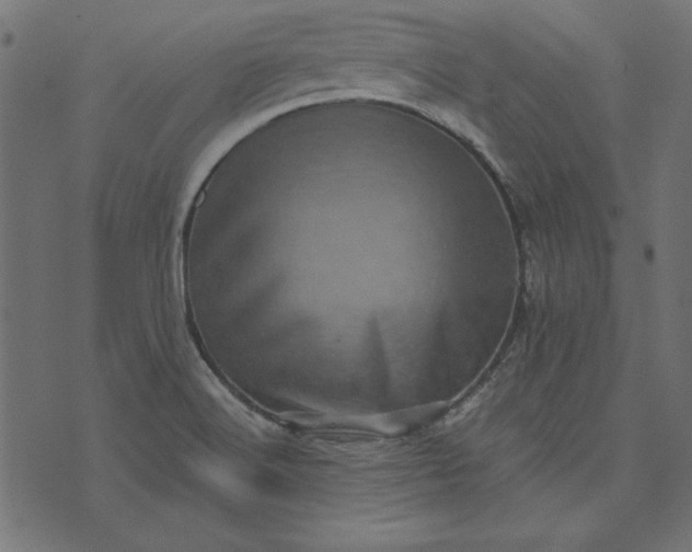 X0000073721516200608171150