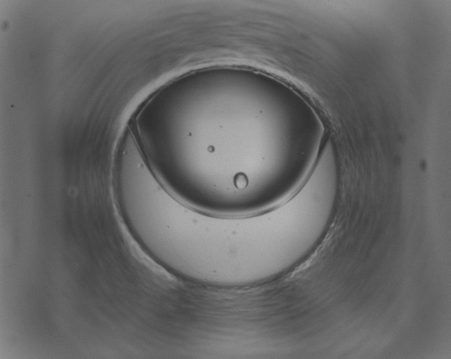 X0000073721518200608171150