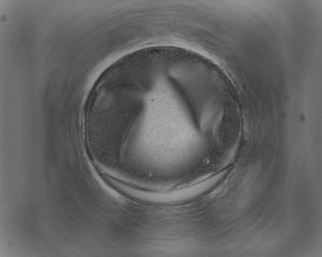 X0000073721519200608171150