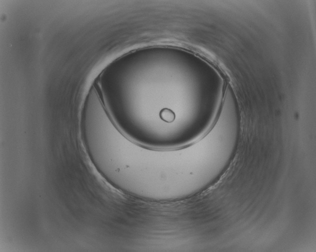 X0000073721520200608171150