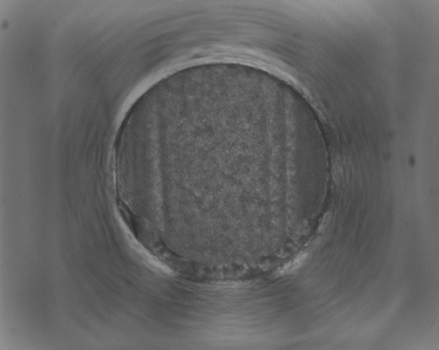 X0000073721522200608171150