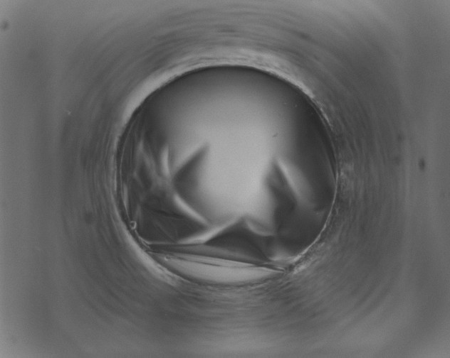 X0000073721523200608171150