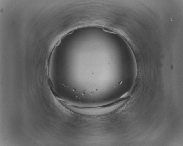 X0000073721524200608171150