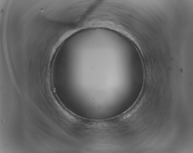 X0000073721525200608171150