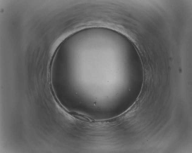 X0000073721527200608171150