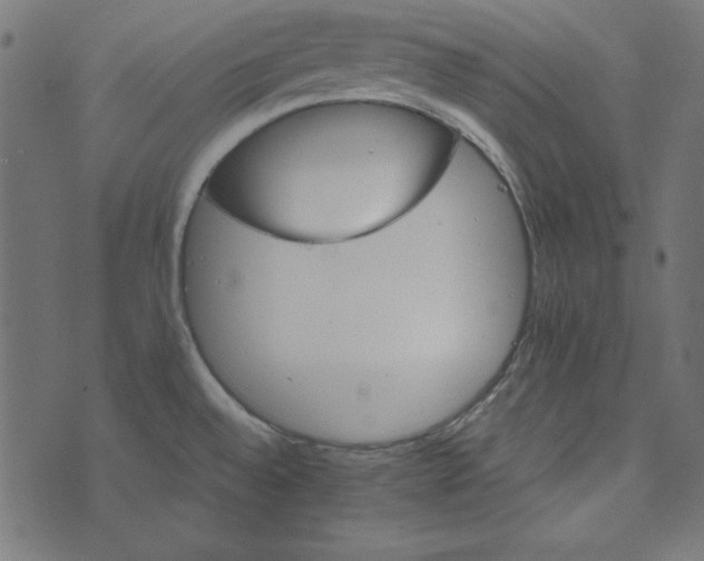 X0000073721528200608171150