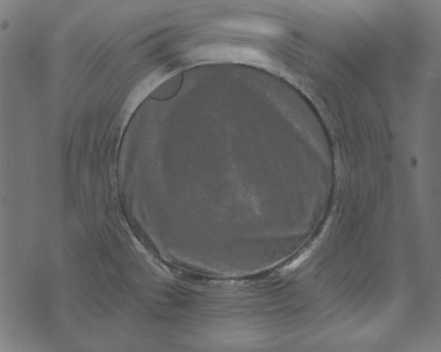 X0000073721529200608171150