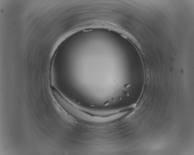 X0000073721530200608171150