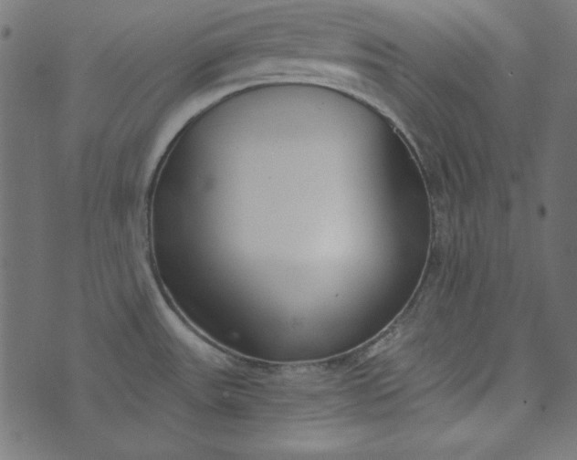 X0000073721531200608171150