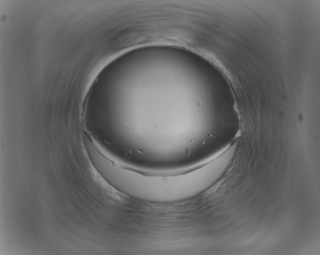 X0000073721532200608171150