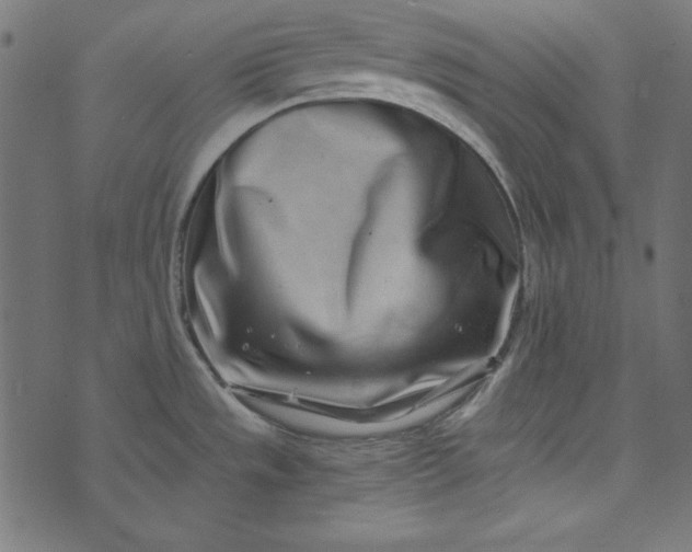 X0000073721533200608171150