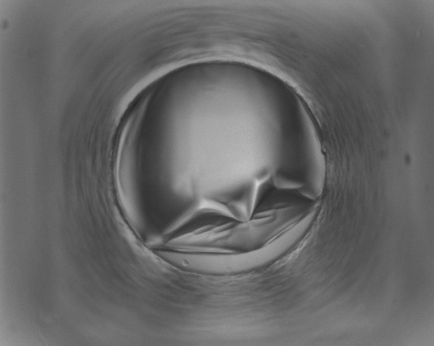 X0000073721534200608171150