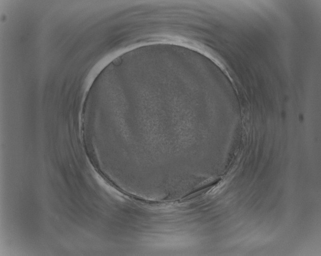 X0000073721535200608171151