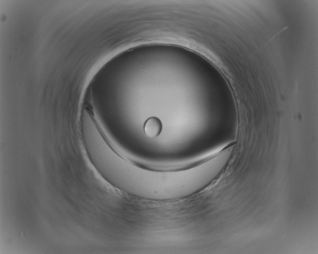 X0000073721536200608171151