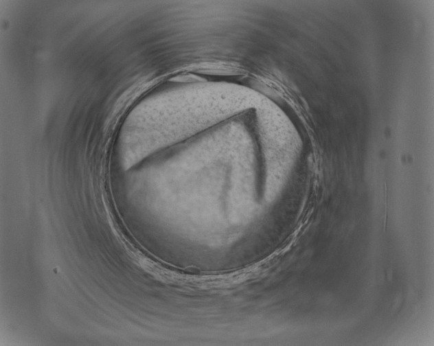 X0000073720001200608241243