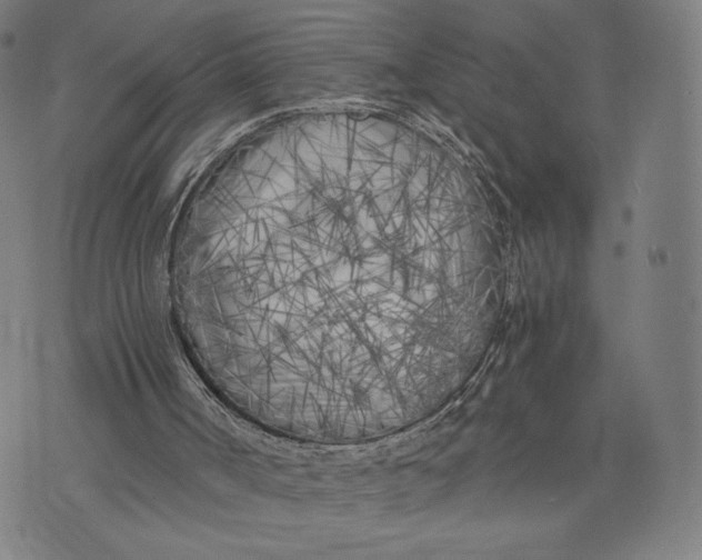 X0000073720002200608241243