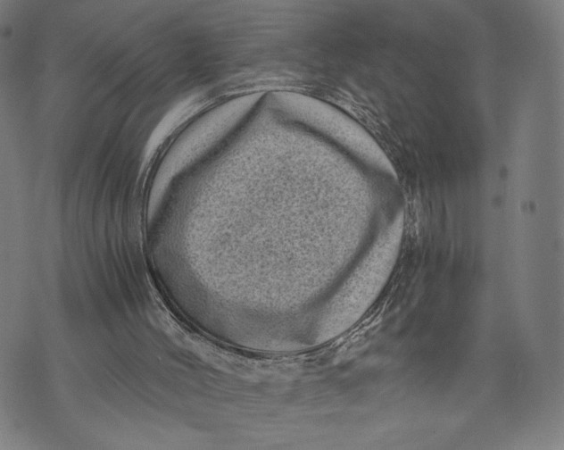 X0000073720004200608241243