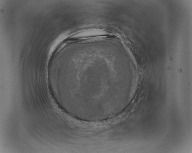 X0000073720006200608241243