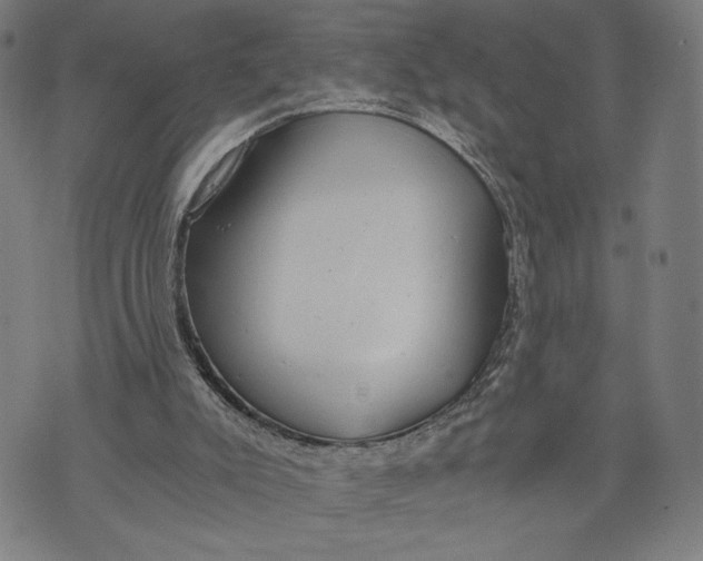 X0000073720007200608241243