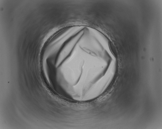 X0000073720008200608241243