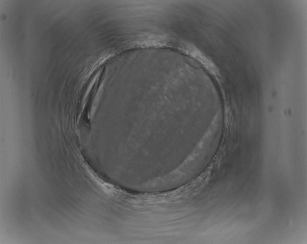 X0000073720009200608241243