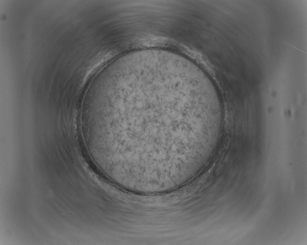 X0000073720010200608241243