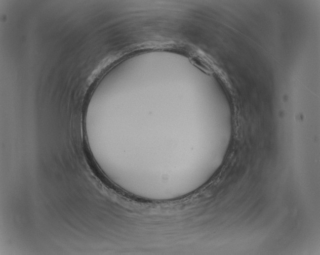 X0000073720011200608241243