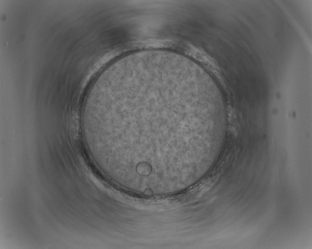 X0000073720012200608241243