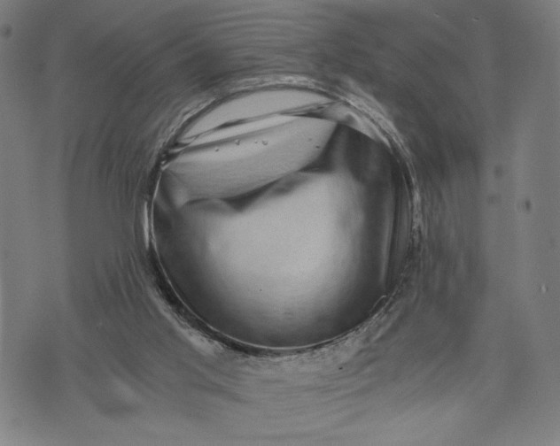 X0000073720013200608241243