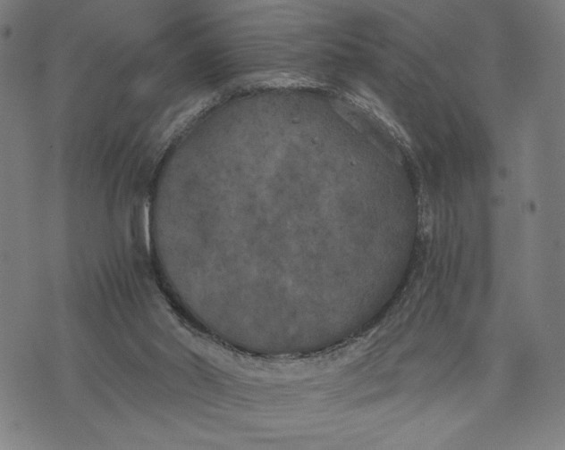 X0000073720014200608241243