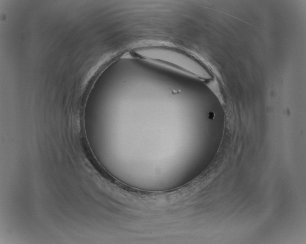 X0000073720015200608241243