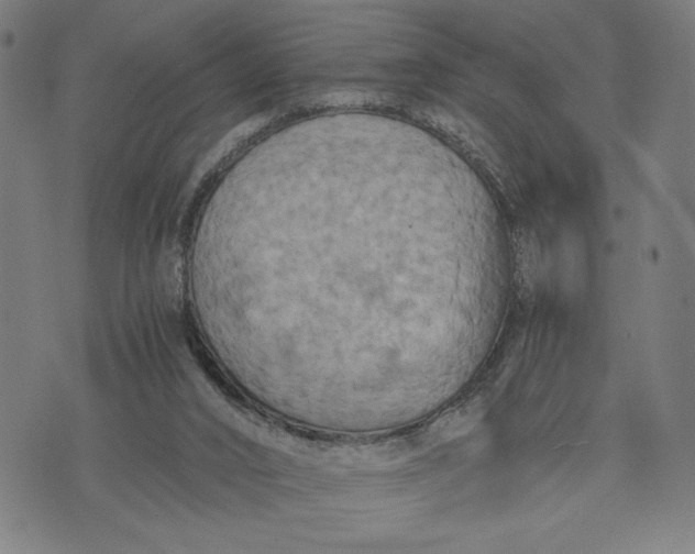 X0000073720016200608241243