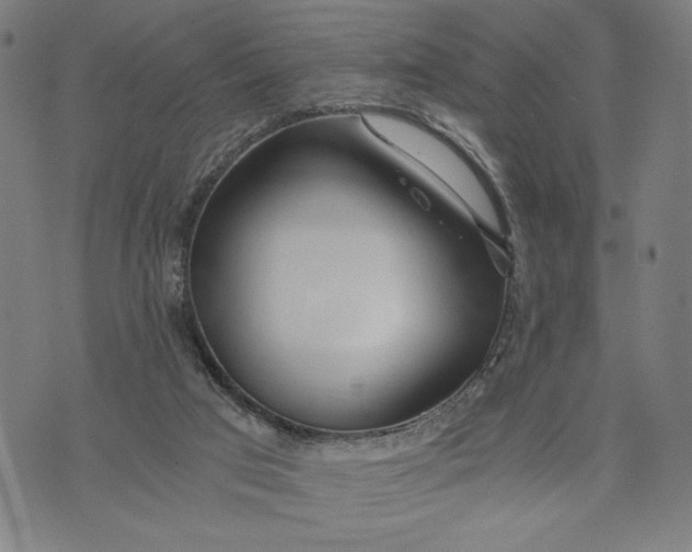 X0000073720017200608241243